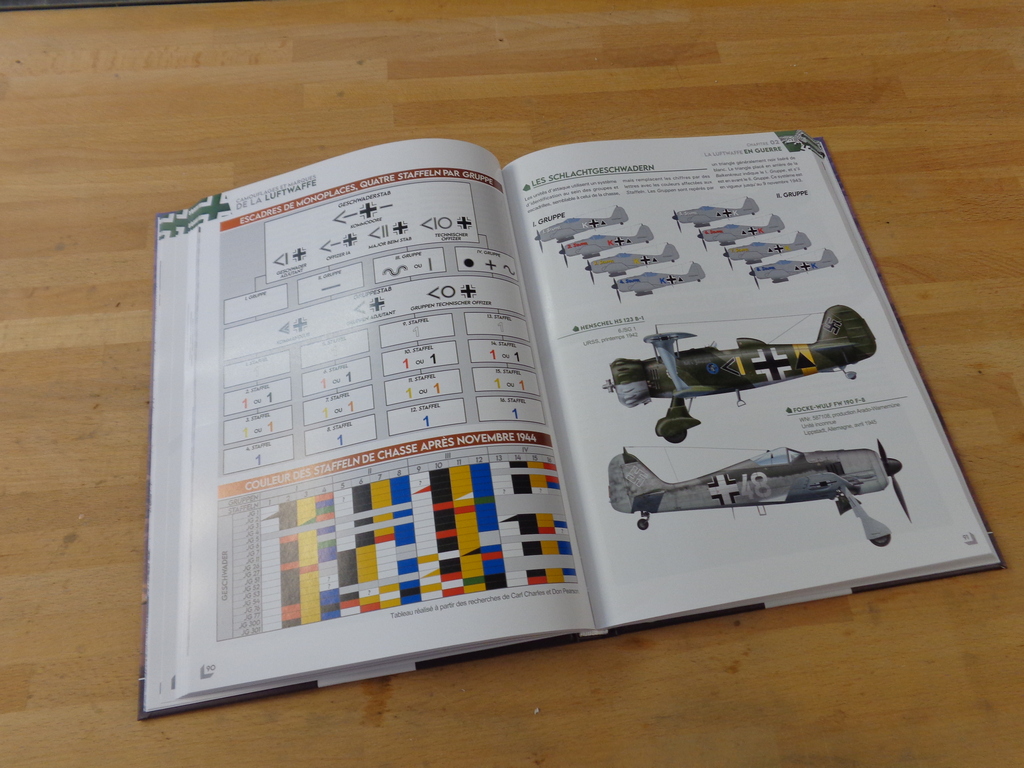 Il est enfin disponible! Camouflages et marques de la Luftwaffe F1DhQb-DSC02875