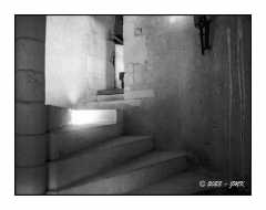 Saint Jean d'Angle - Photo11_11