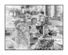 Saint Jean d'Angle - Photo09_9