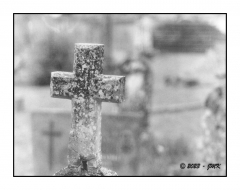 Saint Jean d'Angle - Photo08_8