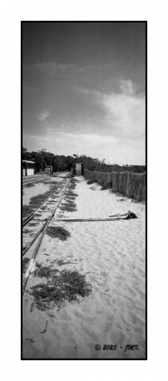 Ile d'Olron, Gatseau - img820