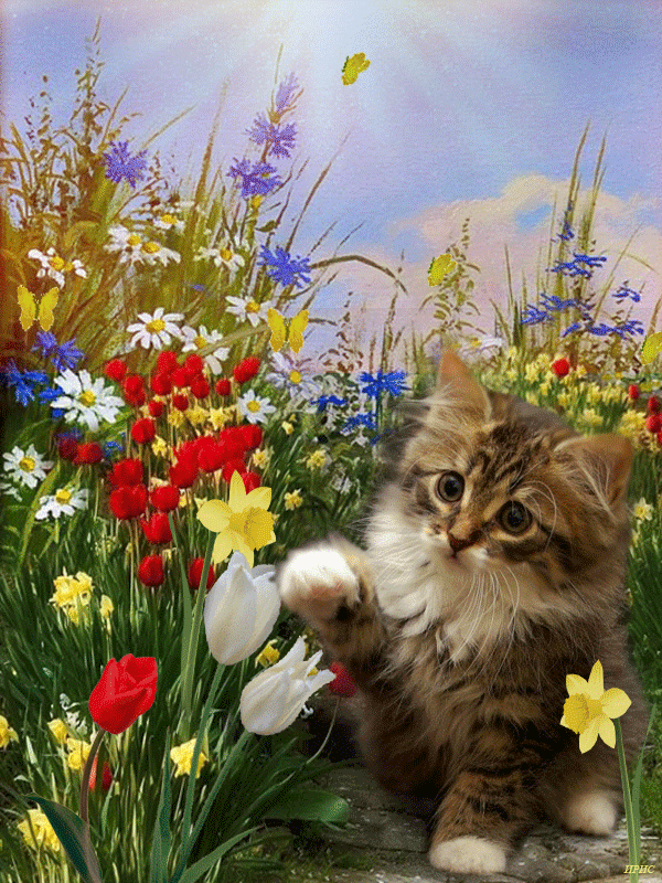 23070706102012971418209652.gif