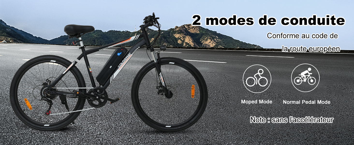 Vélo électrique VDL 16 Pouces 250W – Batterie Amovible, Freins Disque – Pour Ado
