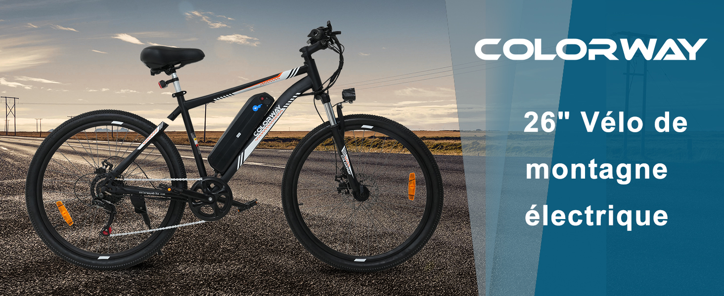 TIGUOWISH VTT Électrique Adulte Homme - Vélo Électrique