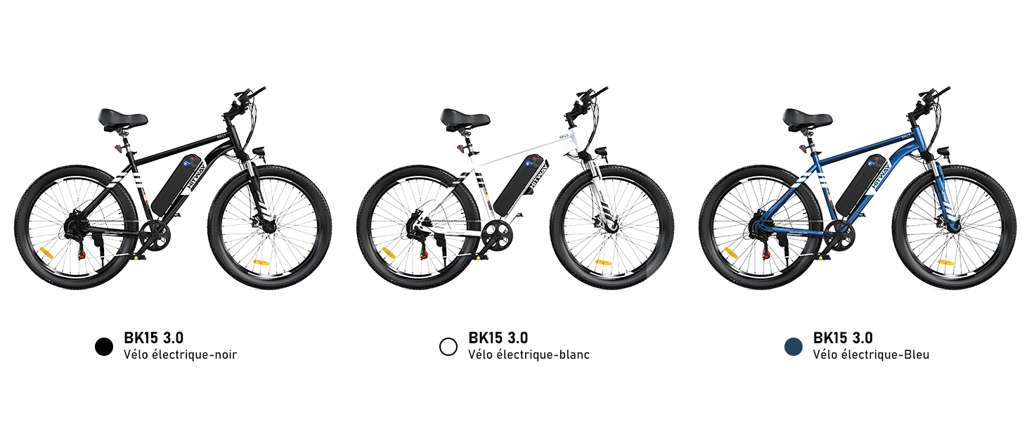 Vélo Électrique 20 Pouces 48V 15Ah - VTT Électrique 250W 7 Vitesses - Vitesse Max 25km/h - Neuf Sous Emballage