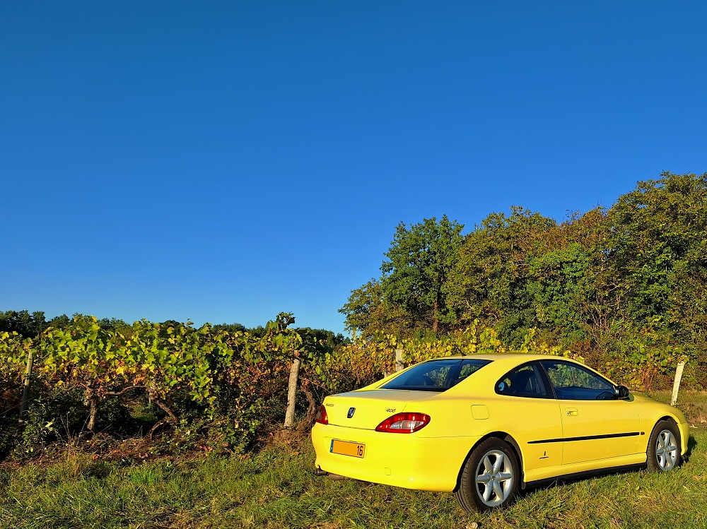 ar 20230930_184235 v