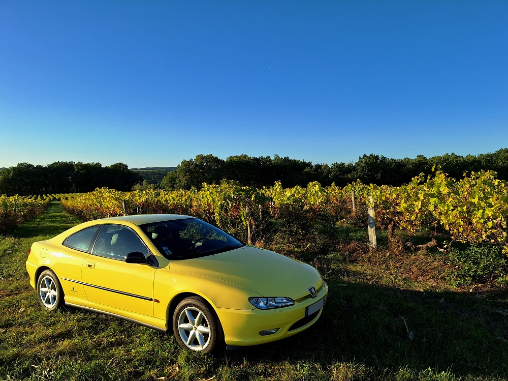 av 20230930_184333 v