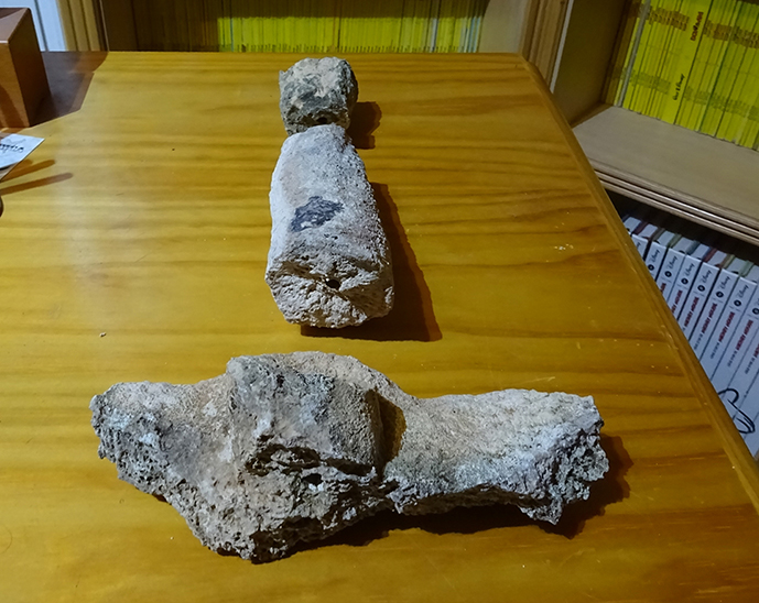 Fósil de esponja marina. 3 trozos. DSC02683 (recortada y reducida a 5 cm)