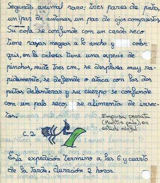 Empusa pennata (mantis palo) anotación del cuaderno de campo Nº 1