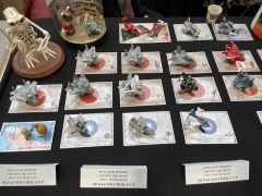 COLMAR 2023 - IMG_2464.