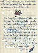 Cuaderno de campo nº1 araña y mirápodo