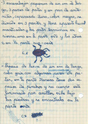Cuaderno de campo nº1 escarabajo y larva