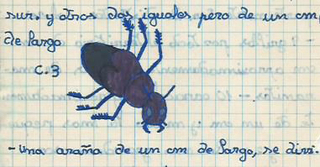 Cuaderno de campo nº1 escarabajo