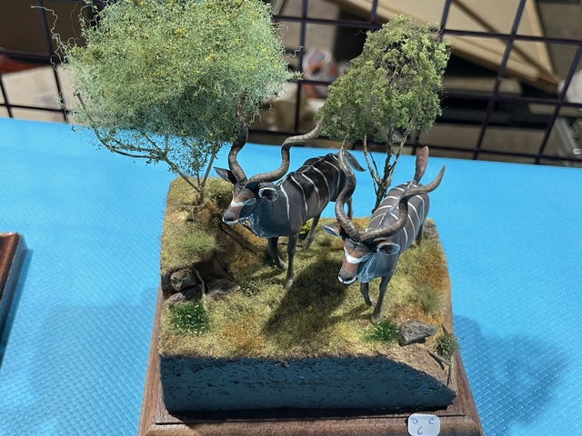 FLEURUS 2024 - IMG_2704.