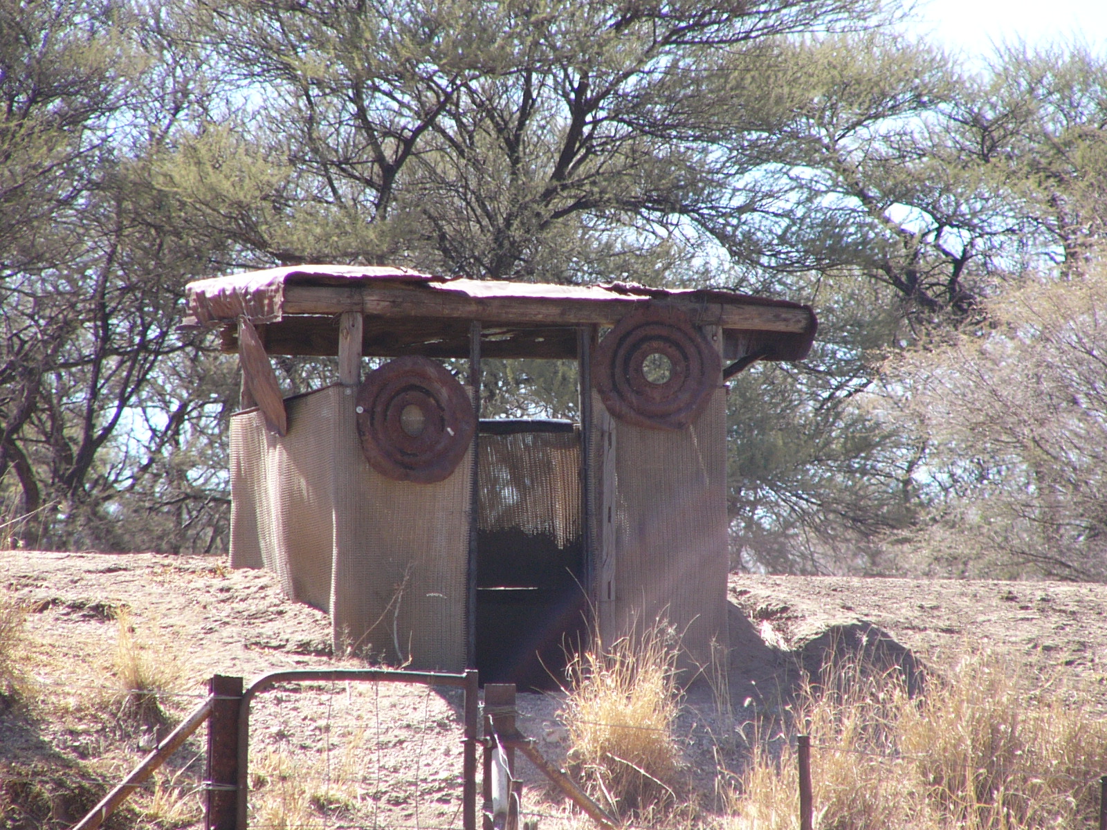 Le jour du mamba en Namibie 24010302151220532418330552