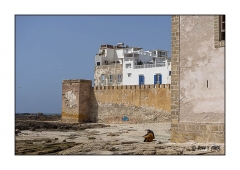 Essaouira 2016 - img_016