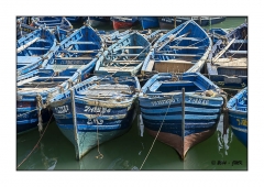 Essaouira 2016 - img_019