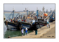 Essaouira 2016 - img_023