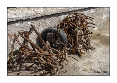 Essaouira 2016 - img_025