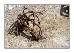 Essaouira 2016 - img_026