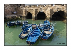 Essaouira 2016 - img_028