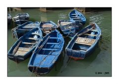 Essaouira 2016 - img_029