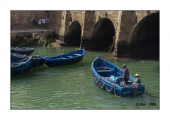 Essaouira 2016 - img_031