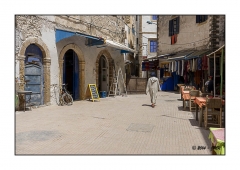 Essaouira 2016 - img_006