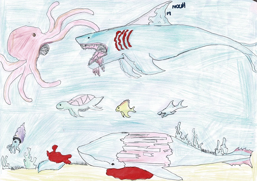 Attention au requin ! · Le blog du CM2B de l'école Albert Perraud