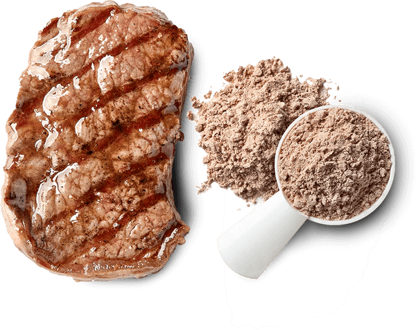 comparaison entre steak de boeuf et une dose de la carnivor beef protein isolat