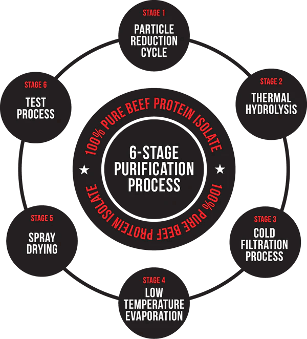 les 6 stages de processus de purifications pour obtenir la carnivor beef protein Isolate - musclemeds