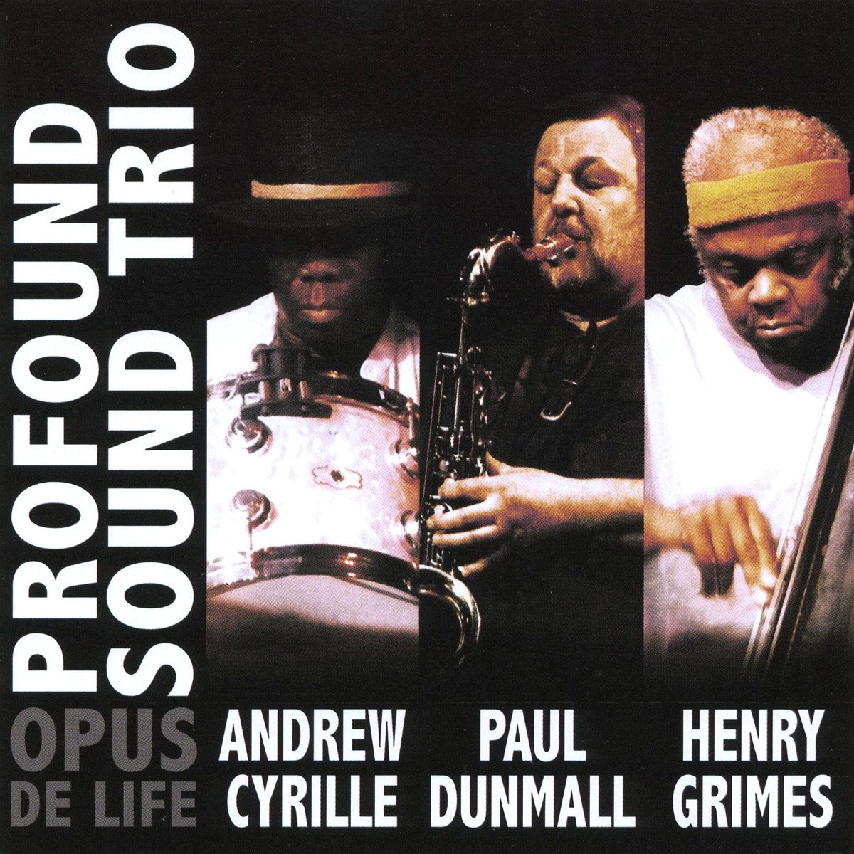 Profound Sound Trio ? Opus De Life a