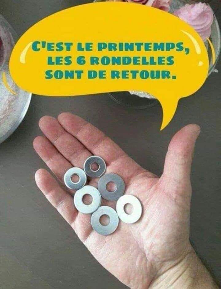 434033103_3641809449410898_1791174679993305714_n
