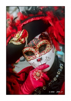 Fries Vnitiennes - Mars 2024 - Etaules - Minolta Dynax7 24-85 Kodak Portra160_033