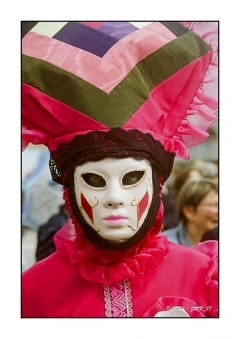 Fries Vnitiennes - Mars 2024 - Etaules - Minolta Dynax7 24-85 Kodak Portra160_017