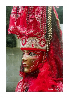 Fries Vnitiennes - Mars 2024 - Etaules - Minolta Dynax7 24-85 Kodak Portra160_022