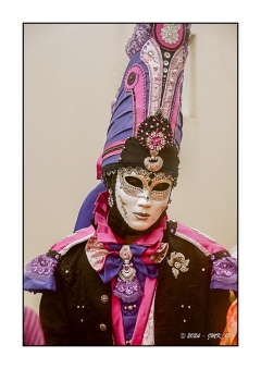 Fries Vnitiennes - Mars 2024 - Etaules - Minolta Dynax7 24-85 Kodak Portra160_024