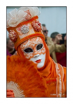 Fries Vnitiennes - Mars 2024 - Etaules - Minolta Dynax7 24-85 Kodak Portra160_028