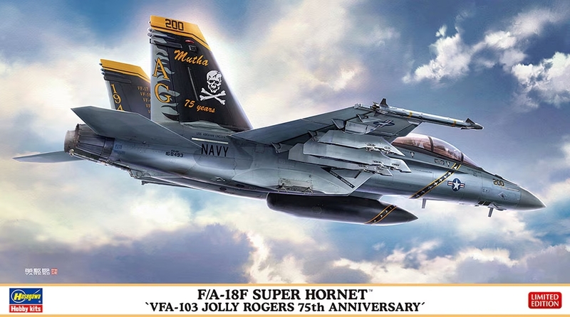 [Hasegawa] 1/72 - Boeing F/A-18F Super Hornet VFA-103    24041007051919477618386337