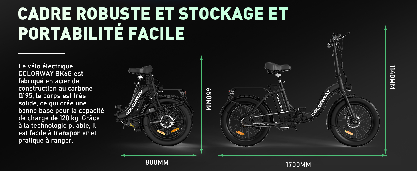 Vélo Électrique Pliable COLORWAY BK11M - 20" Pneus Fat, 250W, 36V 12Ah, Autonomie 90 Km - Ville & Tout-Terrain