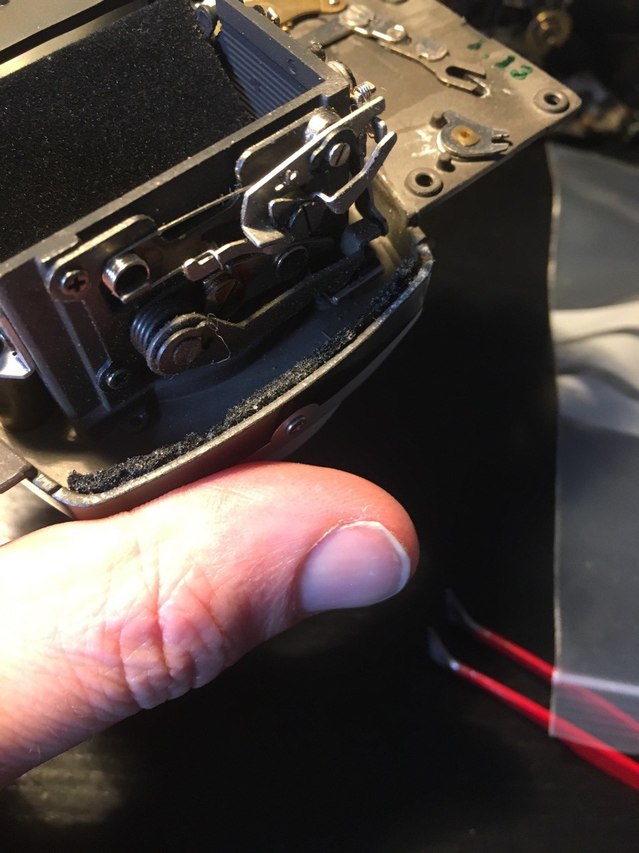 photo_5_2024-04-11_23-56-10