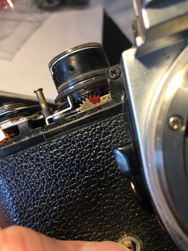 photo_10_2024-04-11_23-56-10