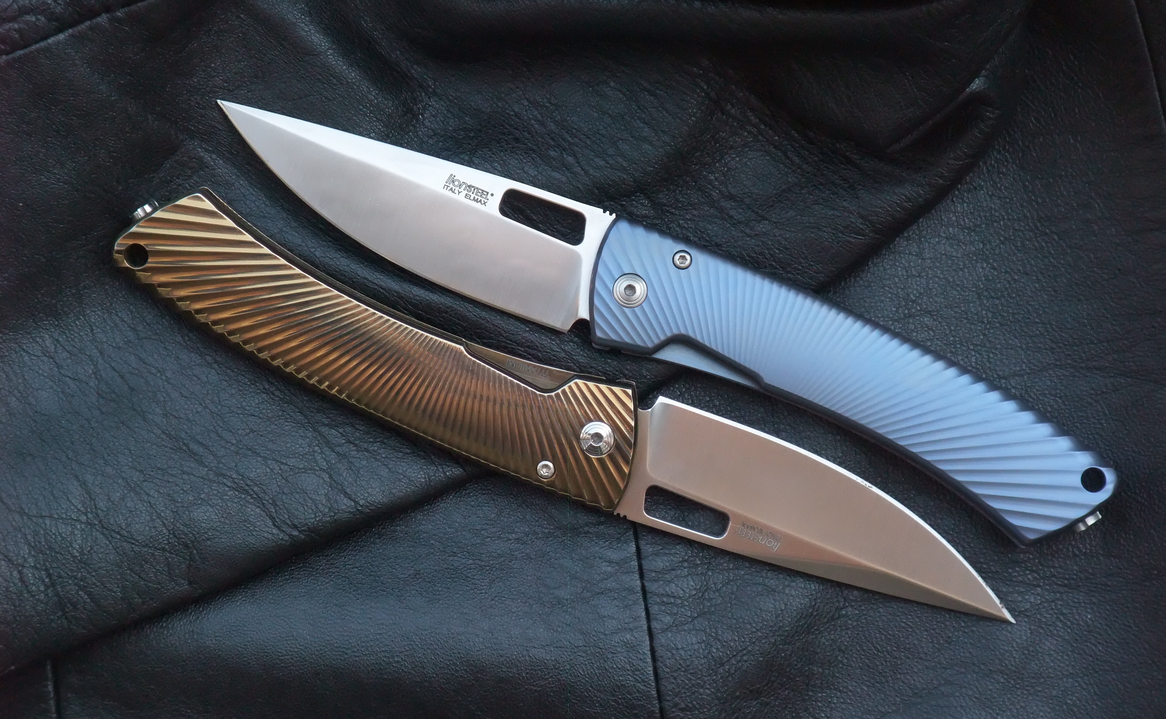 LionSteel TiSpine ouverts