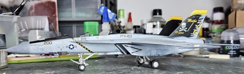 [Hasegawa] 1/72 - Boeing F/A-18F Super Hornet VFA-103    - Page 2 24042711550419477618396140