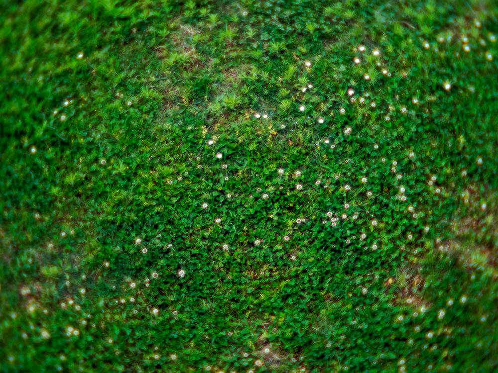 25mm F1.4