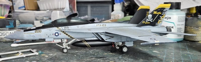 [Hasegawa] 1/72 - Boeing F/A-18F Super Hornet VFA-103    - Page 2 24043005552719477618398515