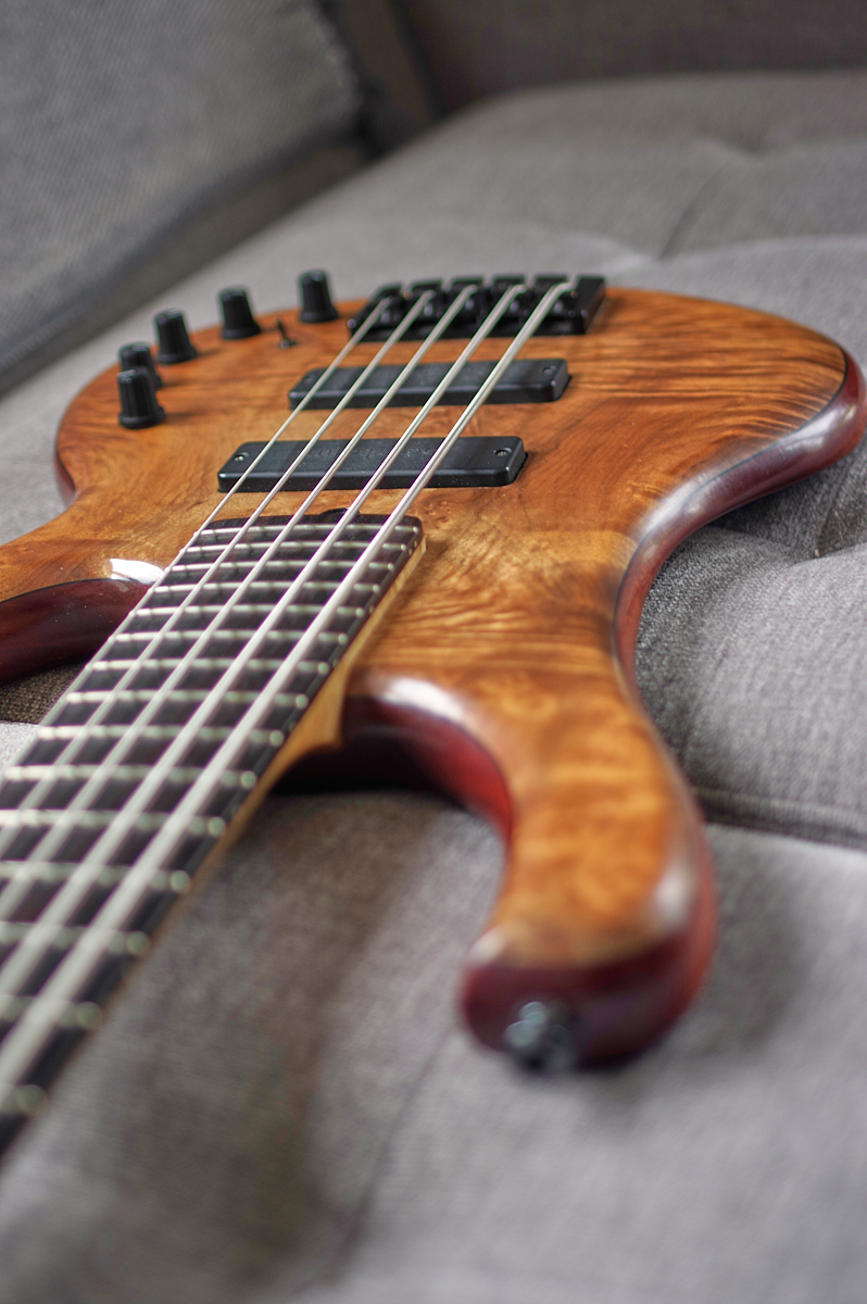 Ristola Exotic - _K3L8284