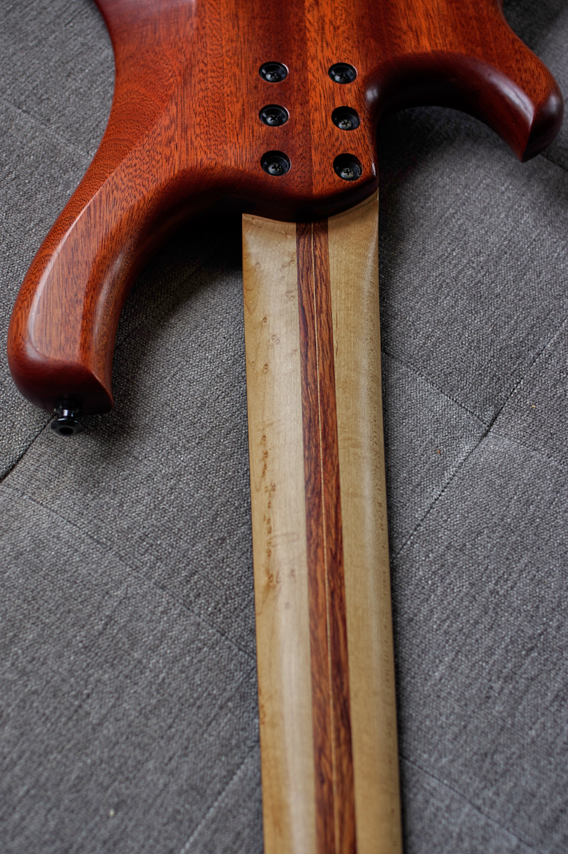 Ristola Exotic - _K3L8285