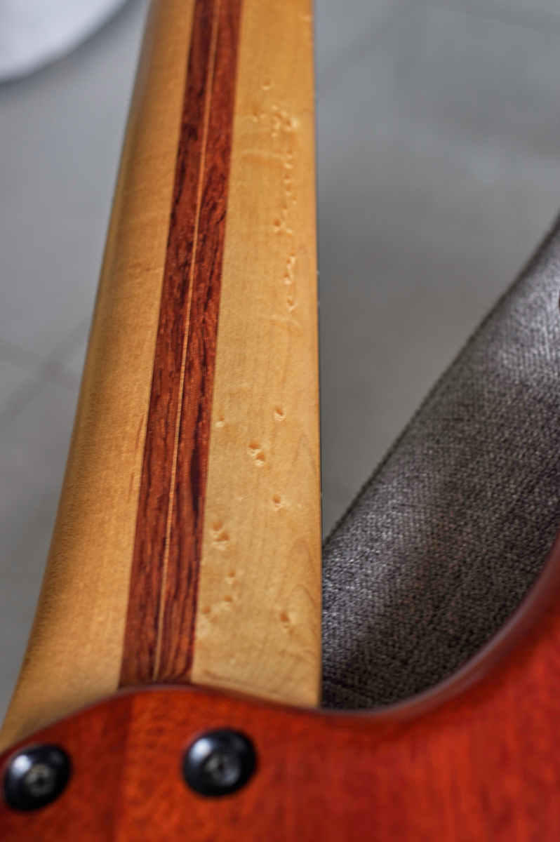 Ristola Exotic - _K3L8290