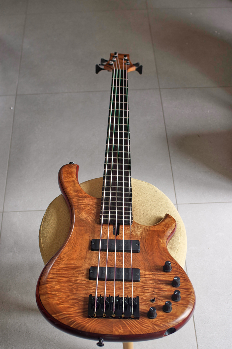 Ristola Exotic - _K3L8292